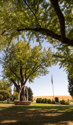 Campus